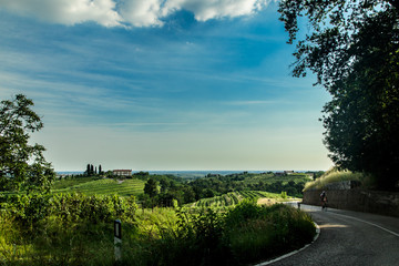 Sunset in the vineyards of Rosazzo