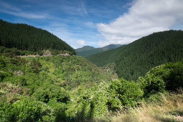 Views of the mountains and plants of New Zealand, mountains and tranquil scenes, New Zealand