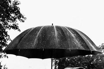 Black umbrella in heavy rain
