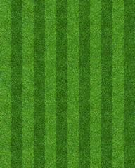 Green grass field background for soccer and football sports. Green lawn pattern and texture...