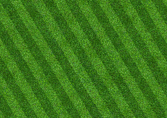 Plakat Green grass field background for soccer and football sports. Green lawn pattern and texture background. Close-up.