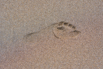 Footprint on the dark brown sand.
