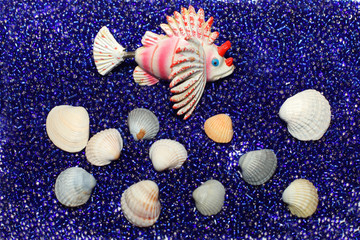 beads shells