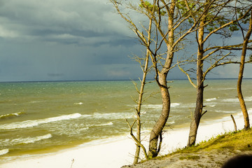 Dzika plaża © Studio Migafka