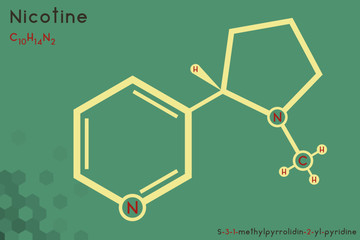 Large and detailed infographic of the molecule of Nicotine.