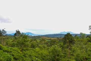 beautiful landscape scenery in the geopark area of ​​Sukabumi, West Java, Indonesia, stretching the scenery of natural green tea