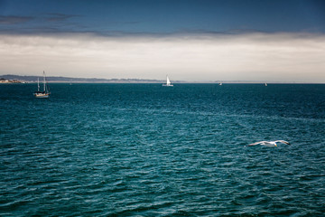 Fototapeta premium Gloomy weather on the sea. Dark blue water with yachts sailing on it. Dramatic landscape.