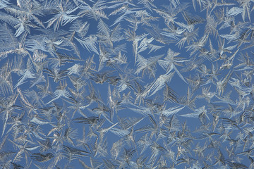 winter drawing on glass