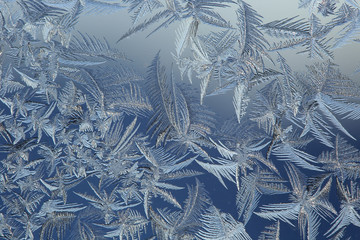 winter drawing on glass
