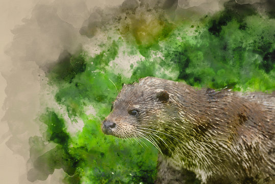 Watercolour painting of Otters on riverbank in lush green grass of Summer in sunlight