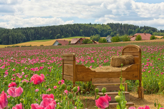 Bett im Mohn