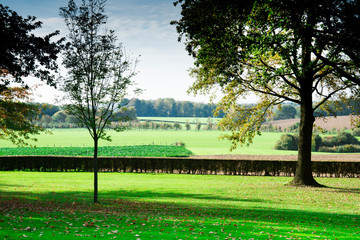 Obraz premium meadow, green landscape in Margraten, Limburg, The Netherlands