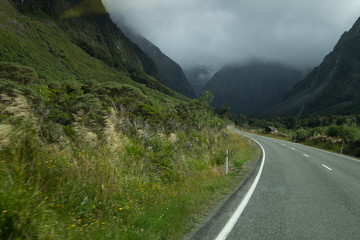 Views of the mountains and plants of New Zealand, mountains and tranquil scenes, New Zealand