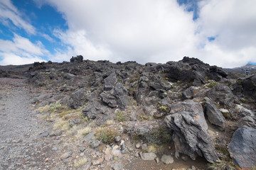 Views of the mountains and plants of New Zealand, mountains and tranquil scenes, New Zealand