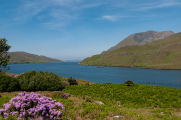 Irlanda. Parco nazionale di Connemara. Area naturale protetta dell'Irlanda occidentale...