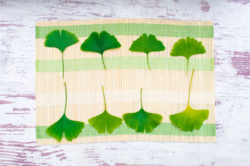 Ginkgo biloba leaves or ginko, view from above. Healing leaves of ginkgo biloba tree ready for drying. The leaves are used to treat blood circulation, tinnitus, alzheimer's and mental illness.