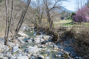 Rivi&egrave;re en sous bois