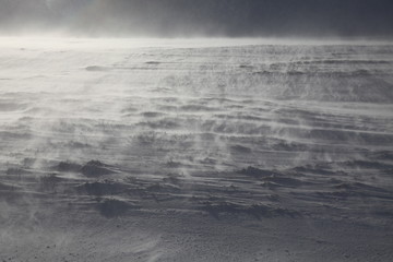 Perdu dans la tourmente