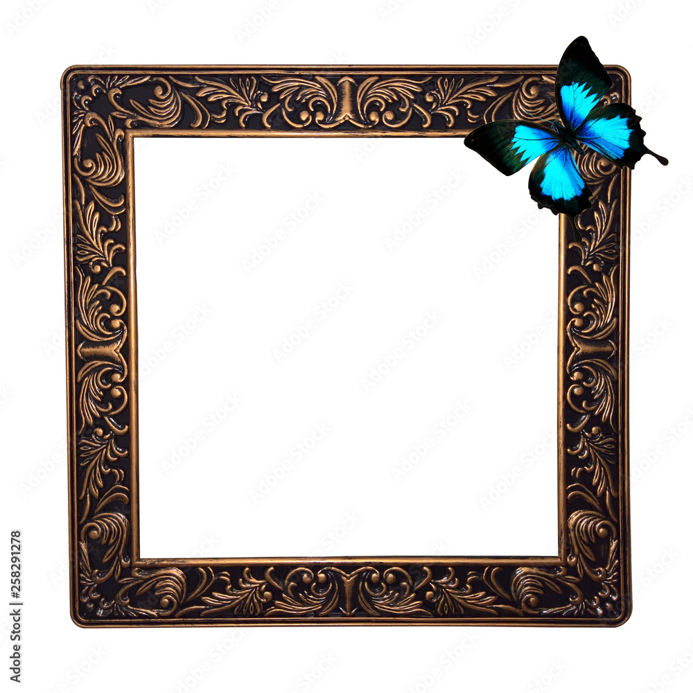 Poster frame with butterfly isolated on white
