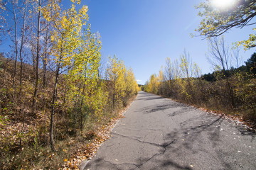 Autumn country Alcala de la Selva Teruel Aragon Spain