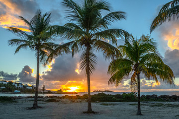 Lever de soleil sur le Gosier - Guadeloupe