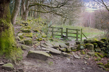 An old-fashioned wooden stile on a path through woodland out into a meadow