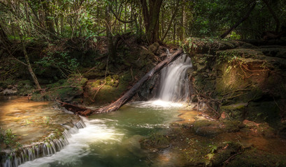 Waterfall, Bodoquena, Mato Grosso do Sul, Brazil