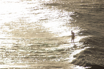 surfer at sunset, Byron bay, Australia