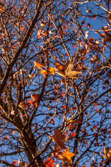 New South Wales, Australia