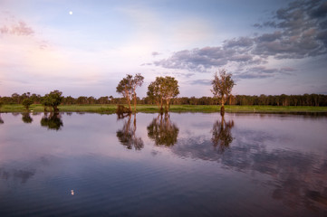Swamp, Northern Territory, Australia