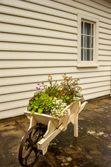 North Island, New Zealand