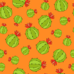 Cute han drawn seamless pattern with cactus. Doodle mexican vector pattern