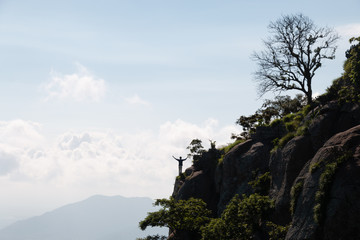 tree in mountains
