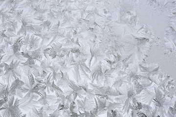 winter drawing on glass