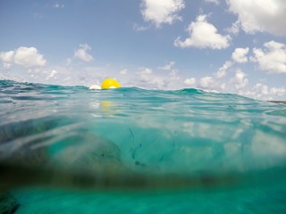 Underwater image in Formentera Balearics Spain