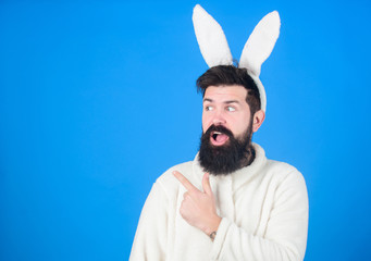 Look at that. Hipster dressed for Easter party presenting product. Bearded man in Easter rabbit costume. Man wearing long rabbit ears. Easter bunny is symbol of fertility and spring, copy space