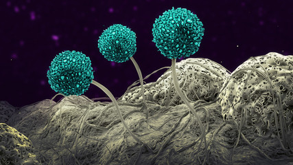 Three mold spores - 3d illustration