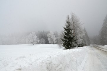 Winter nature  in Klinovec Karlovy Vary region 