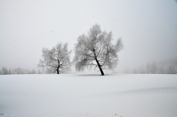 Fototapeta na wymiar Winter nature in Klinovec Karlovy Vary region 