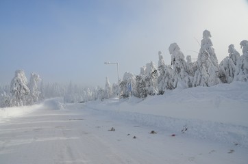 Snow covered way in winter landscape Winter