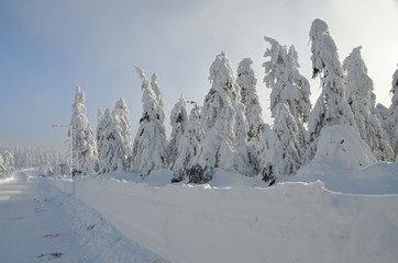 Winter nature  in Klinovec Karlovy Vary region 