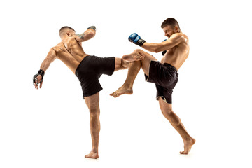 MMA. Two professional fightesr punching or boxing isolated on white studio background. Couple of...