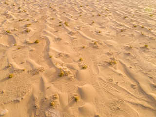 Sundown in desert.Big sand dunes panorama. Desert or beach sand textured background. 