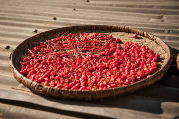 Red chilli pepper on a big plate drying in the sun. Dried red peppers in a  bowl at the roof drying. Nepal countryside. Himalayas, Annapurna circuit.