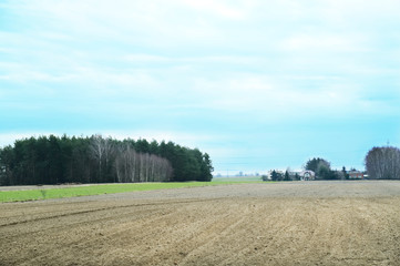 Fototapeta na wymiar View of the field. Polish countryside.