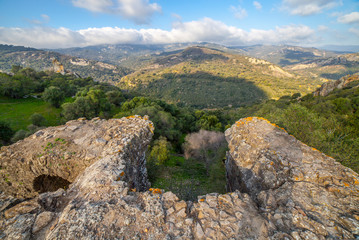 Fototapeta na wymiar Los Alcornocales Nature Reserve, Cadiz, Spain