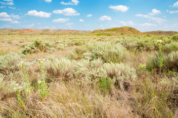 Obraz premium Landscape in Lake Meredith National Recreation Area, Texas, USA
