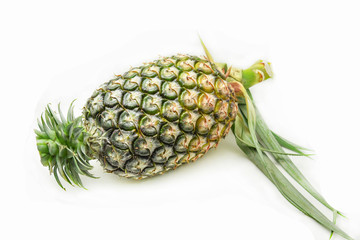 Pineapple fruit isolated on white