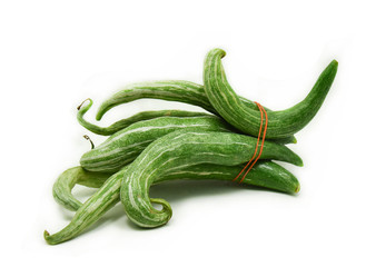 Snake gourd isolated on white background  / Trichosanthes anguina