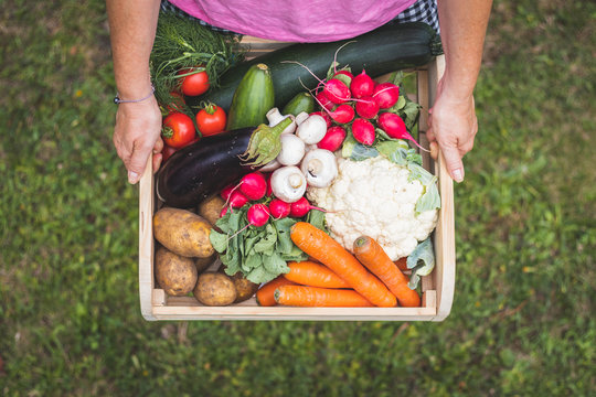 Woman is holding wooden crate full of vegetables from organic garden